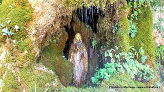 scate del Catafurco-17-06-2015 17-10-28